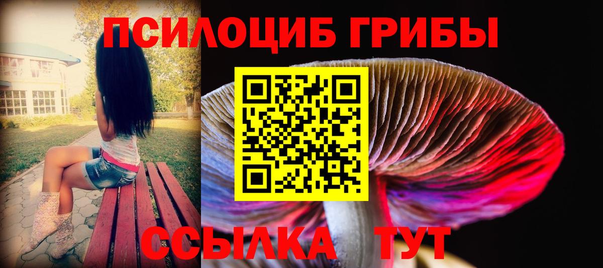 Псилоцибиновые грибы Cubensis Гулькевичи