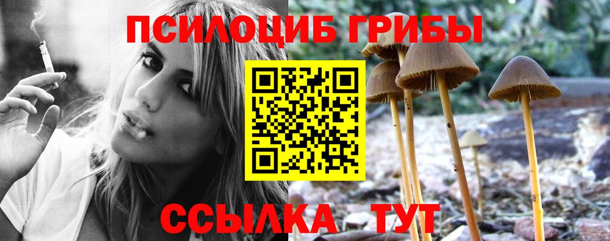 Гулькевичи  Галлюциногенные грибы мухоморы  Вход с VPN 